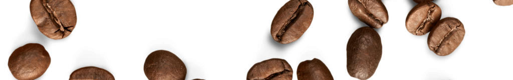 grain de café : logo de notre agence seo à La Rochelle