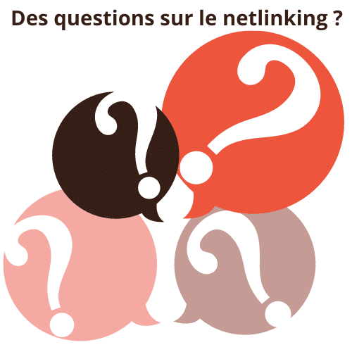 Logo questions sur une campagne de netlinking