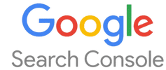 logo Google search Console